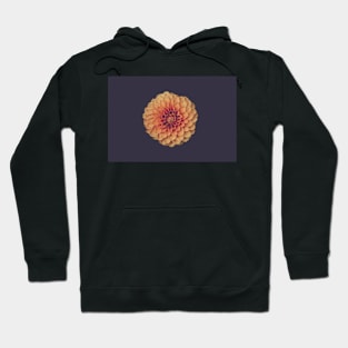 Chrysanthemum Flower Hoodie